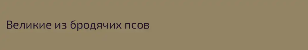 Великие из бродячих псов